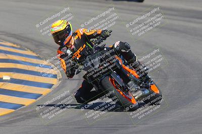 media/Sep-25-2023-Moto Forza (Mon) [[81ffa65e0a]]/A Group/Session 2 (Turns 9 and 10)/